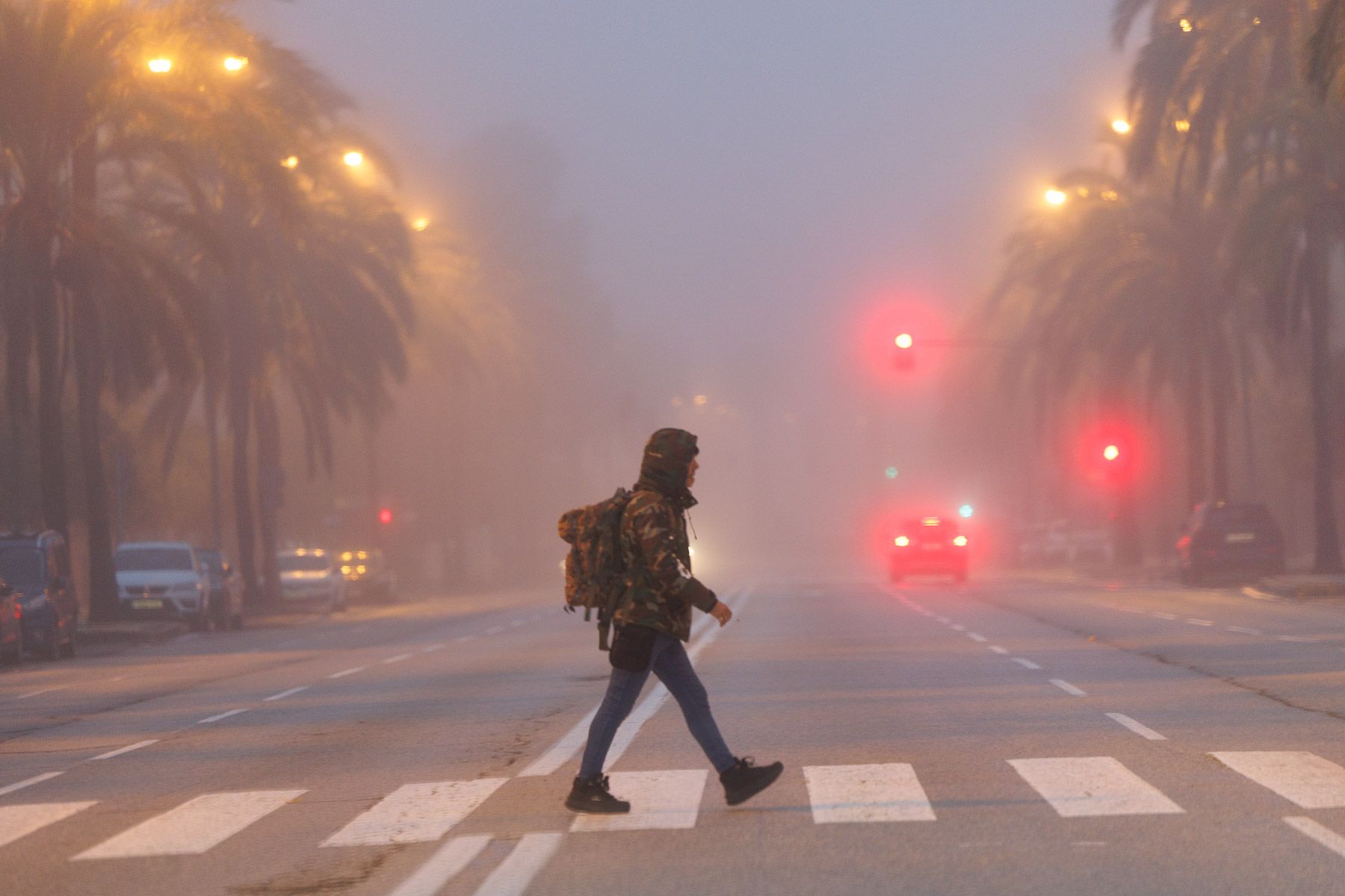 Un ciudadano atraviesa un paso de peatones en una neblada avenida Álvaro Domecq.