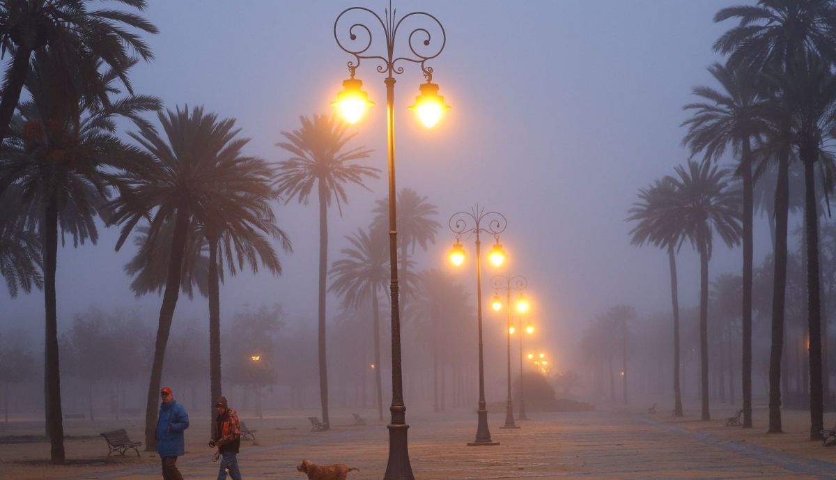 Niebla en el parque González Hontoria.