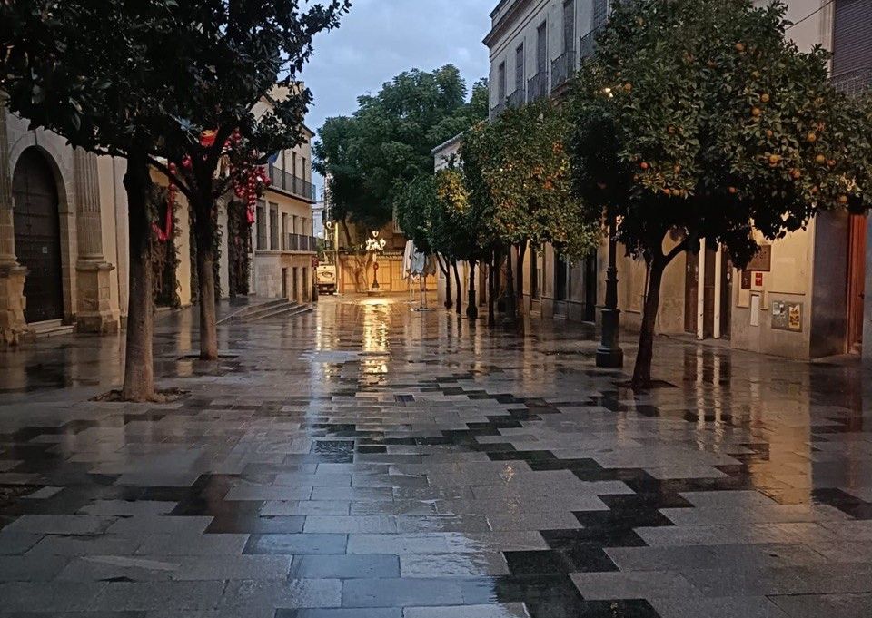 Dispositivo de limpieza en Jerez.