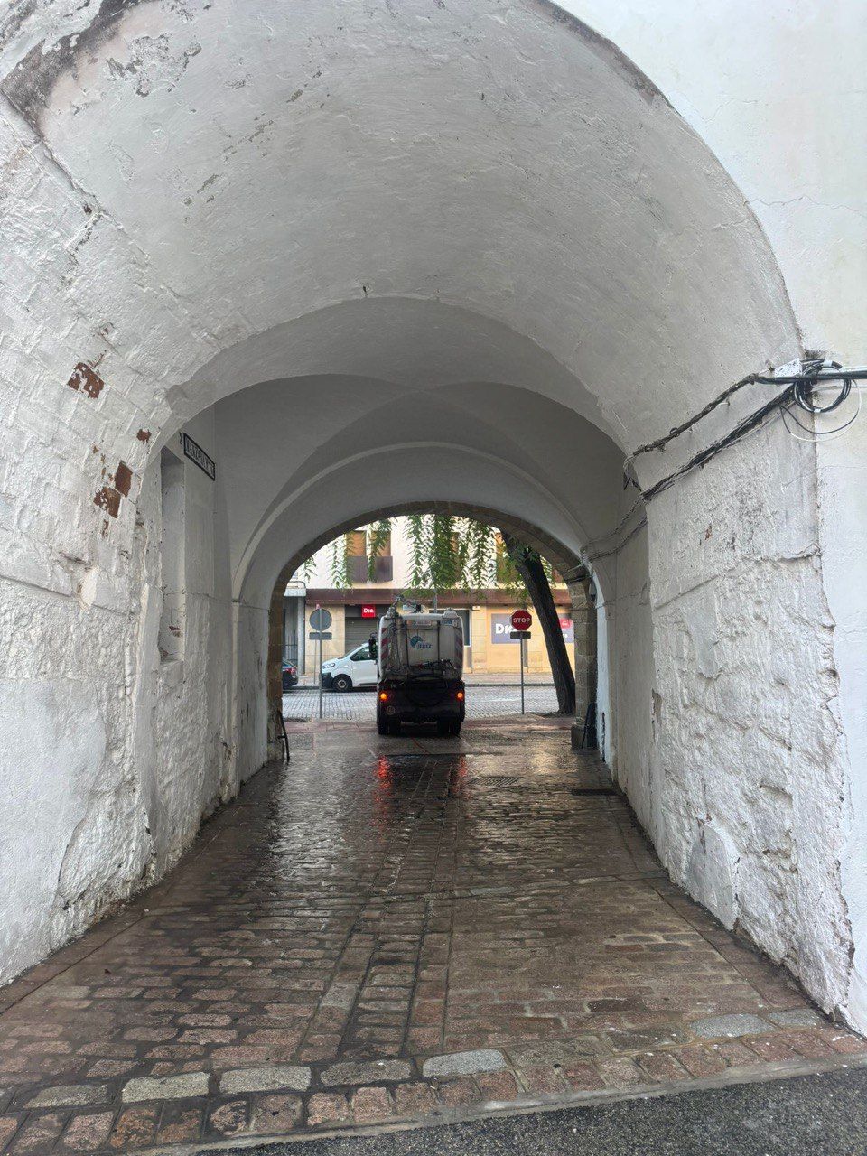 Dispositivo de limpieza en Jerez.