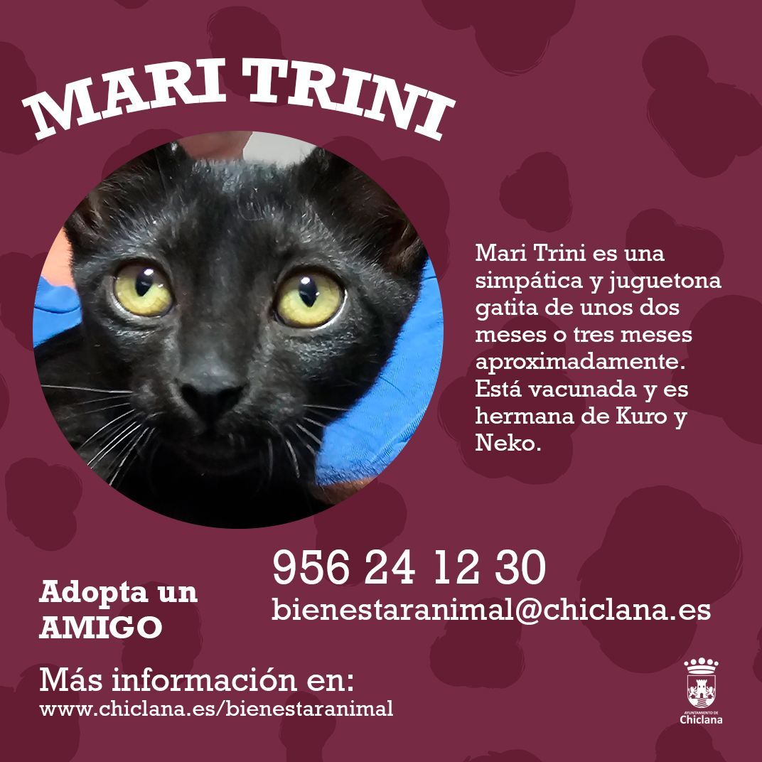 Cartel informativo sobre Mari Trini.