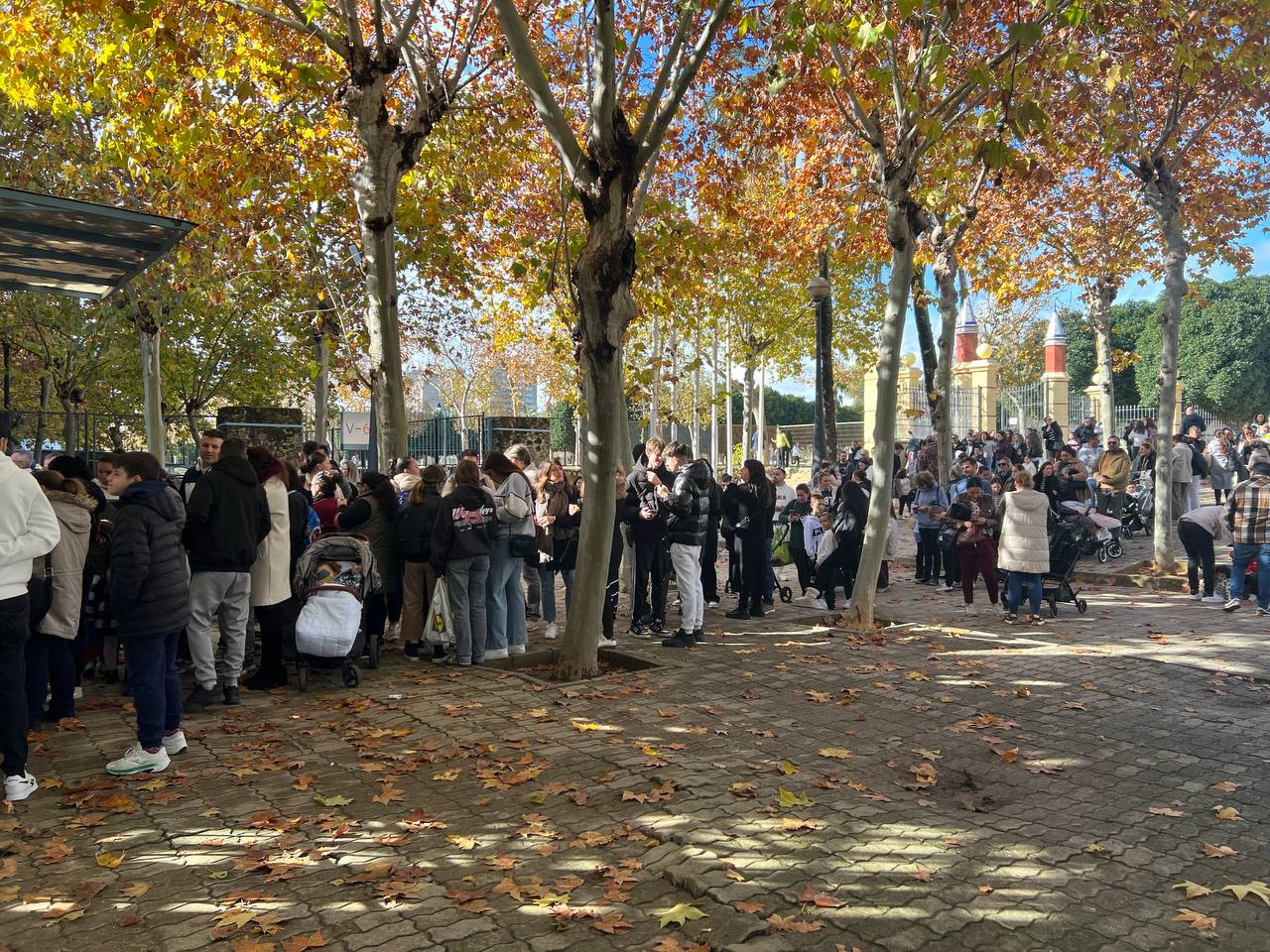 Colas en Juvelandia.