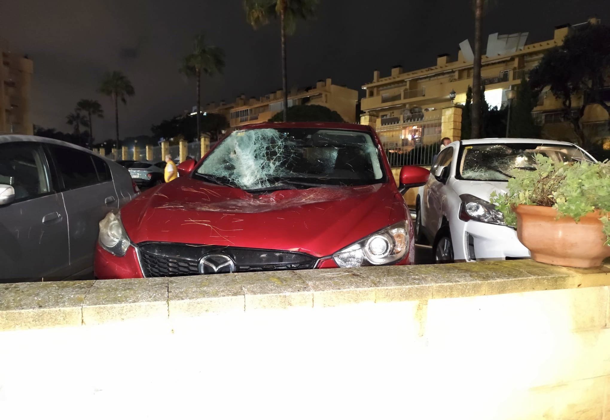 Coche afectado por el temporal.
