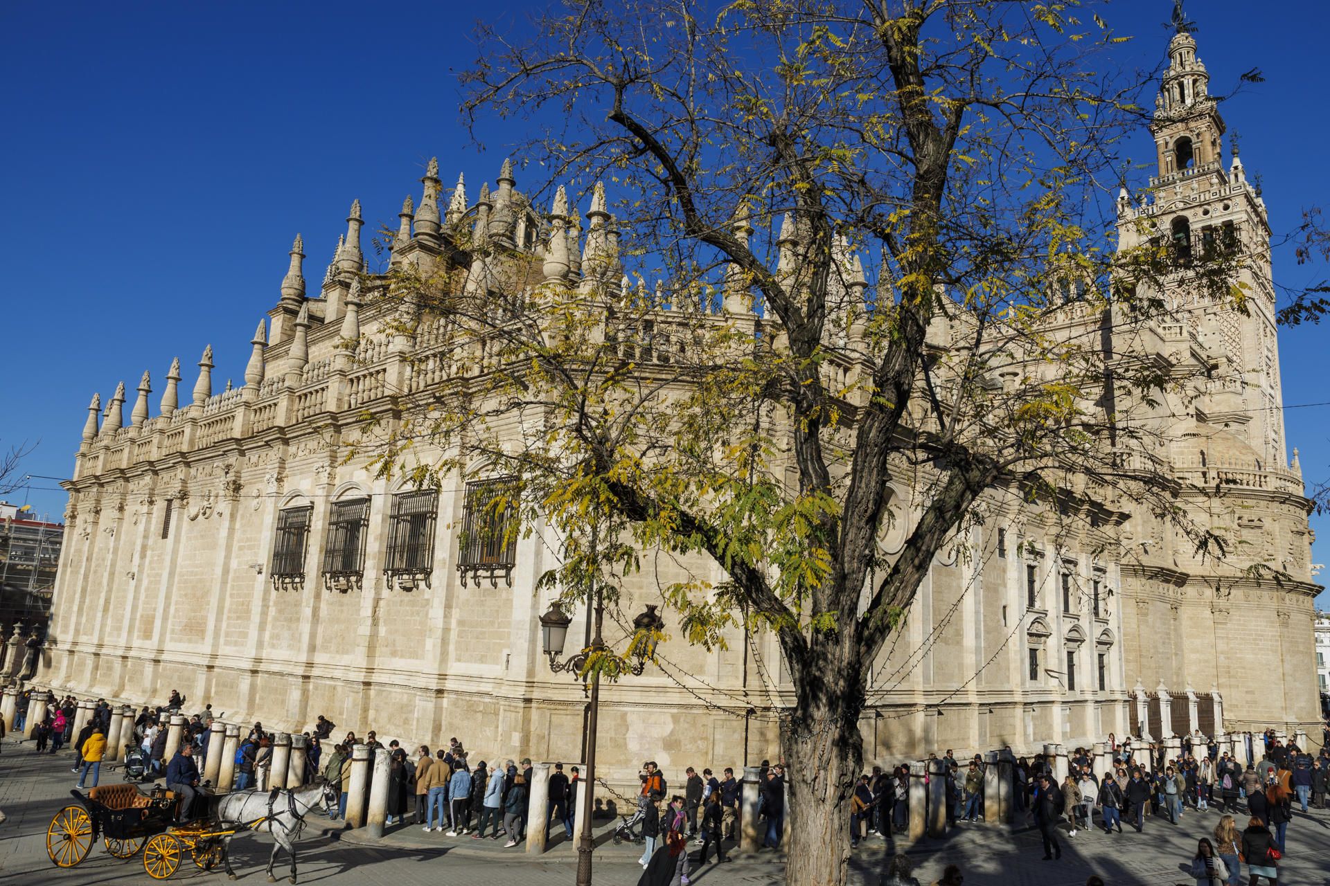Cola para acceder a la Catedral de Sevilla.