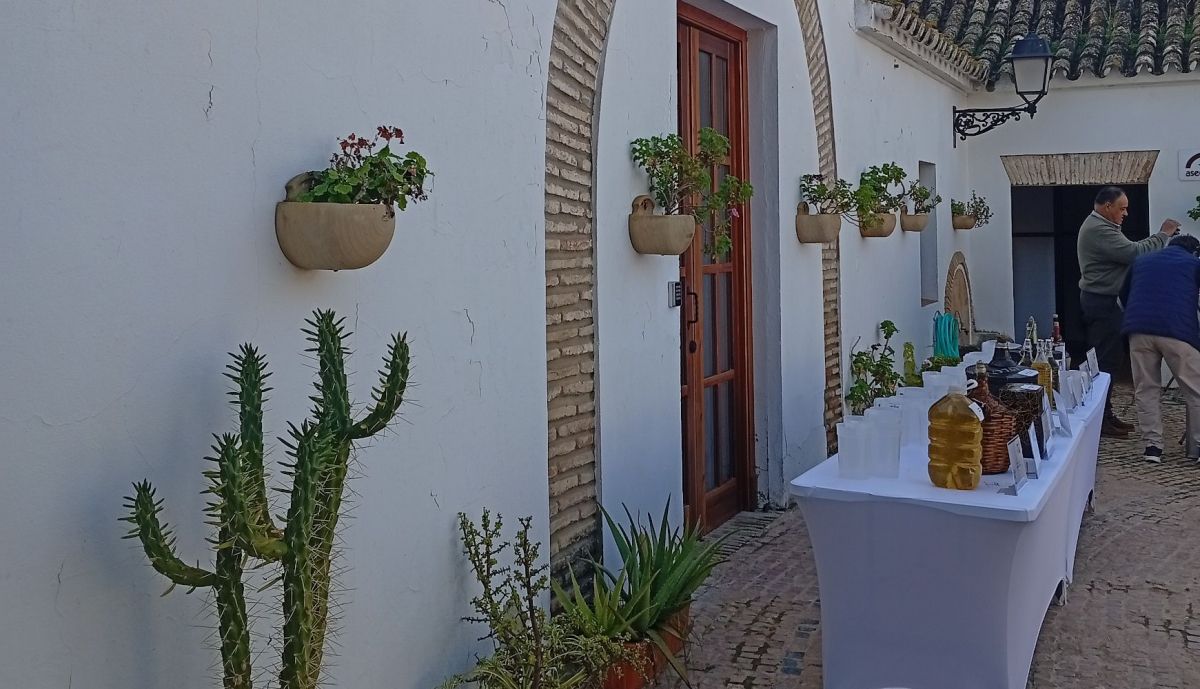 XXI Edición del Concurso del Mosto Cuerveño