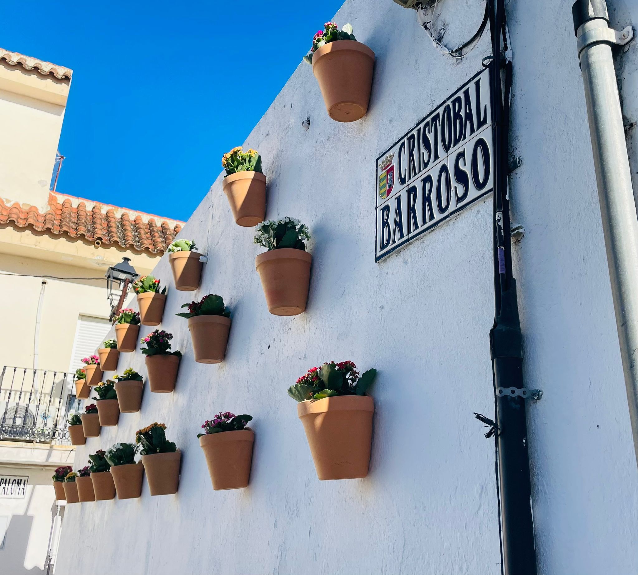 Macetas en una de las calles.