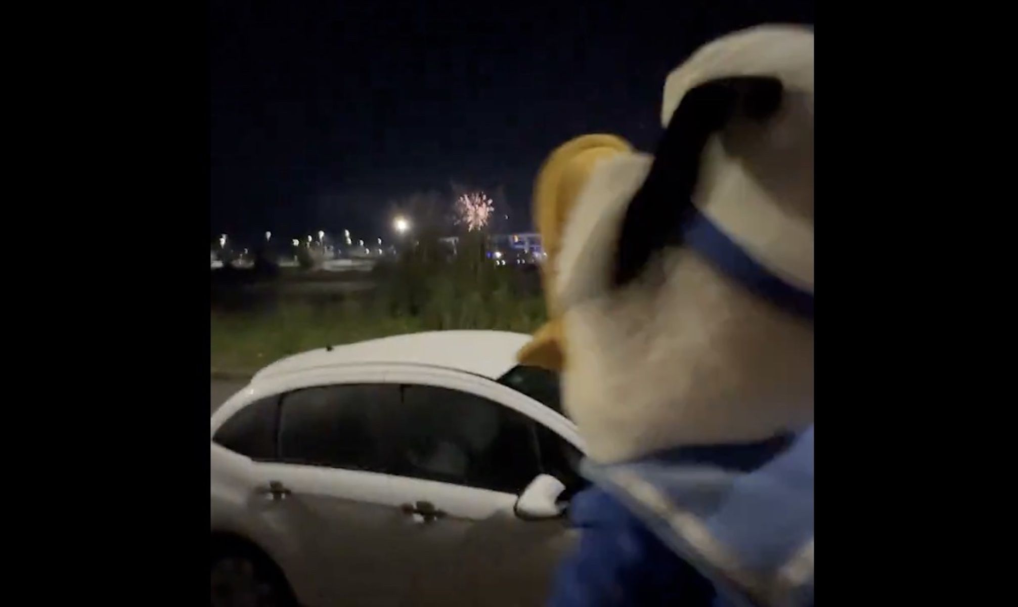 El video más viral de Año Nuevo, con el pato Donald como protagonista. El video más viral de Año Nuevo, con el pato Donald como protagonista.