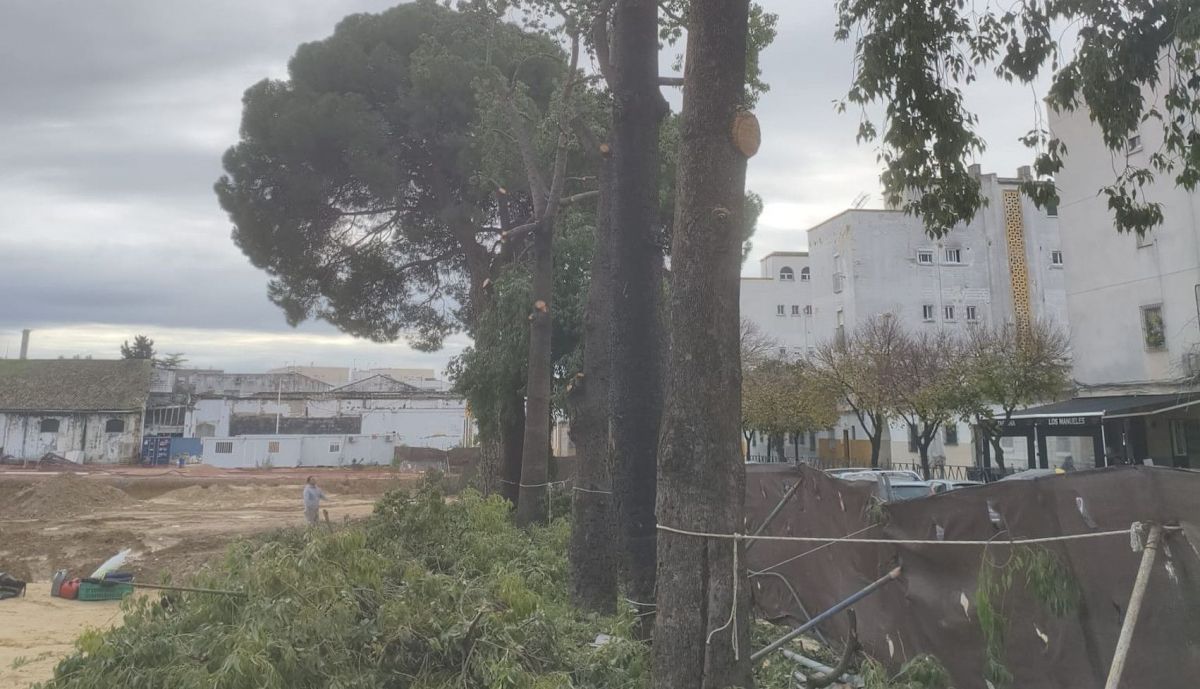 Obras en la calle Pizarro