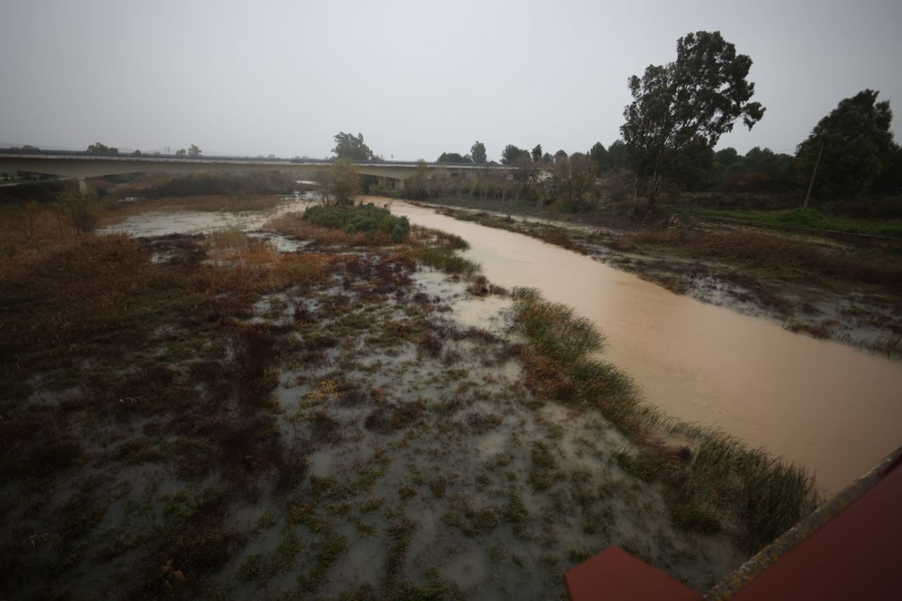 Anegaciones en Puente Cartuja.