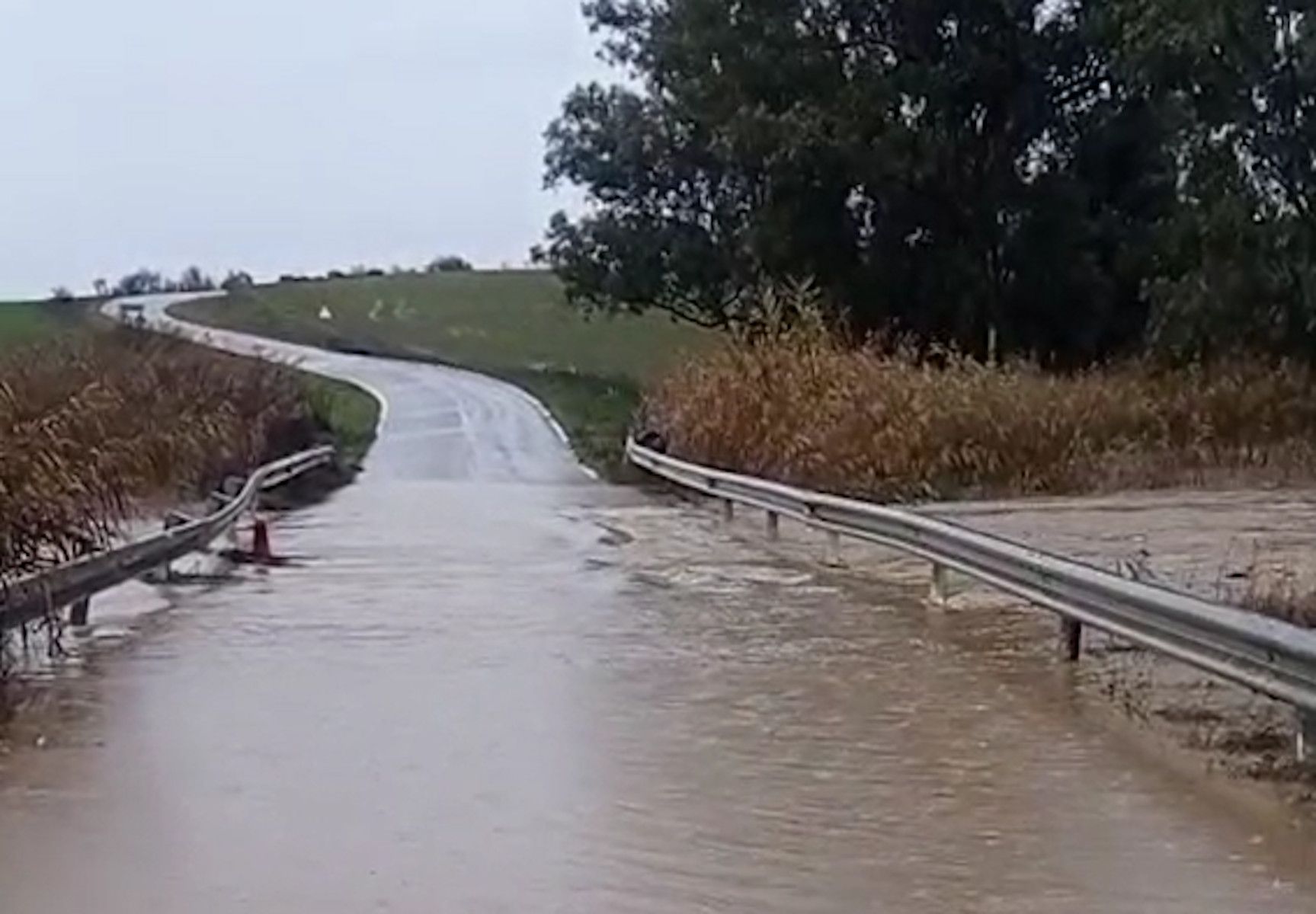 CA 6105 (entre Villamartín y Arcos), afectada por la borrasca Francis.