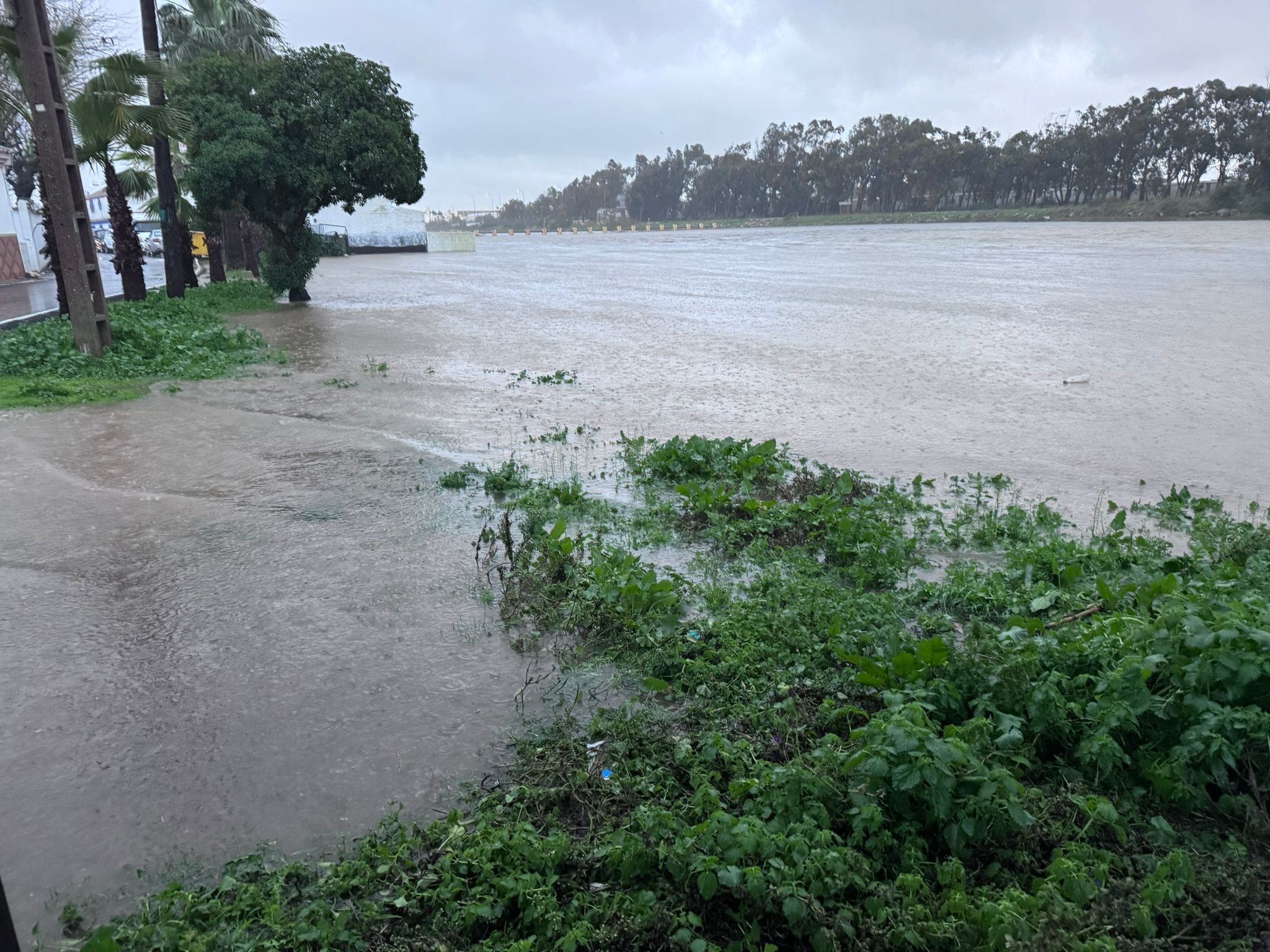 Estado de San Roque por la borrasca 'Francis'.
