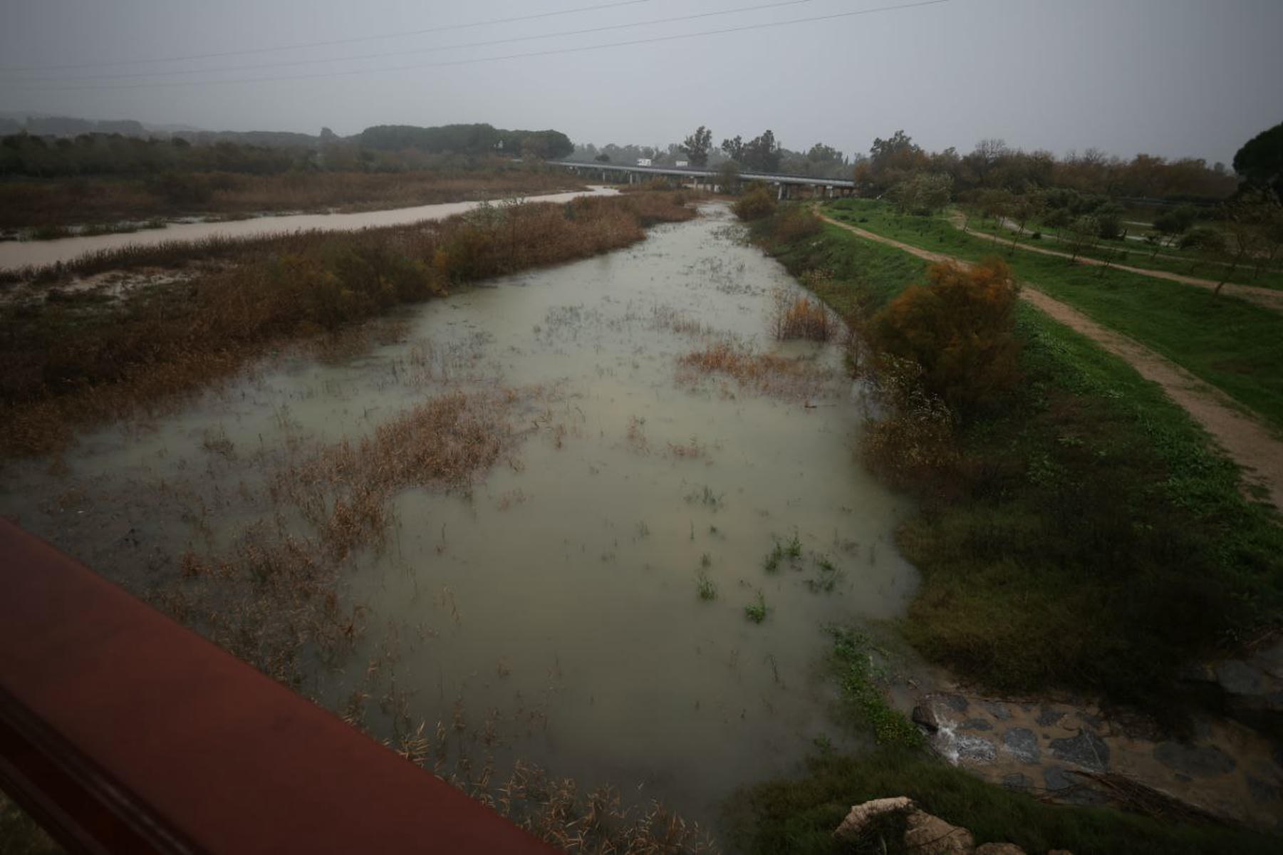 Entorno del Guadalete en el Puente Cartuja, este domingo.