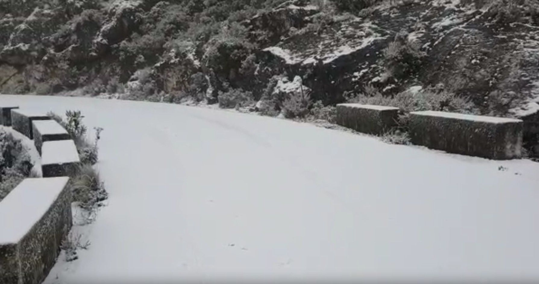 Una nevada en la Sierra de Cádiz en el invierno de 2021.