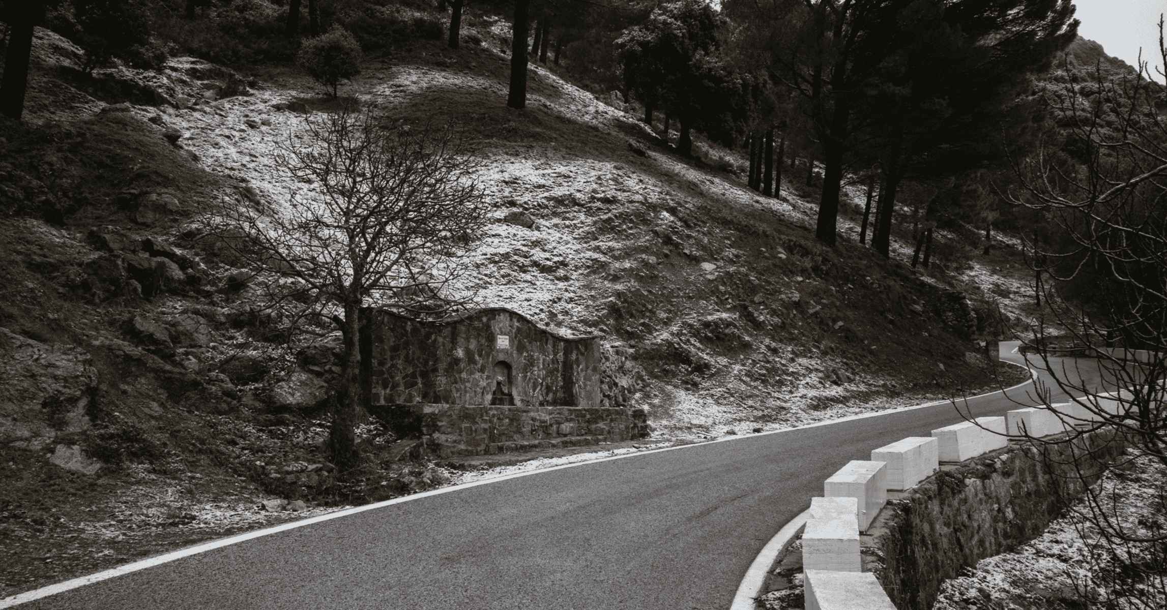 Imagen de la nevada en Grazalema la penúltima semana de diciembre del año pasado.