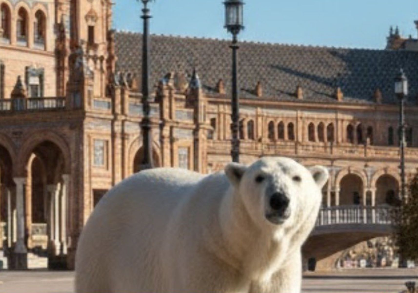 Una de las imágenes de @capitanadobo creadas con Inteligencia Artificial.