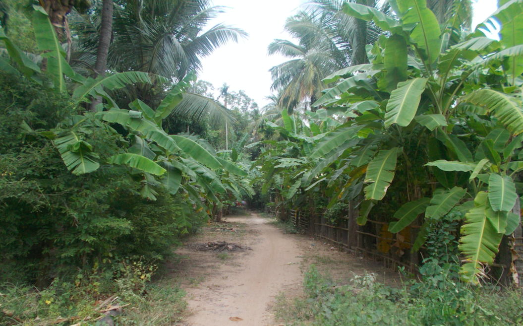 Un camino a las afueras de Kratie (Camboya).