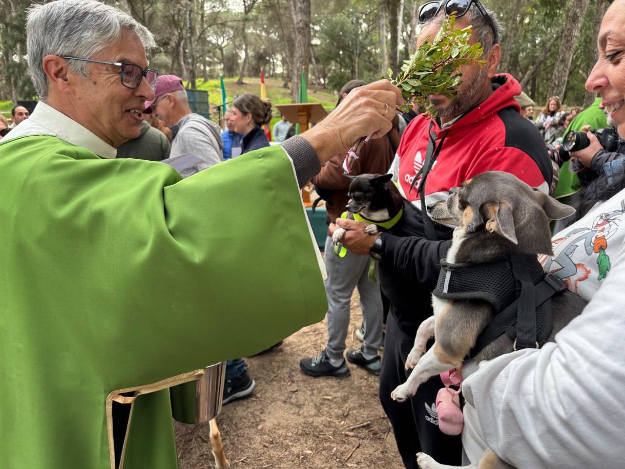 San Antón en El Puerto, en una edición pasada. San Antón en El Puerto, en una edición pasada.
