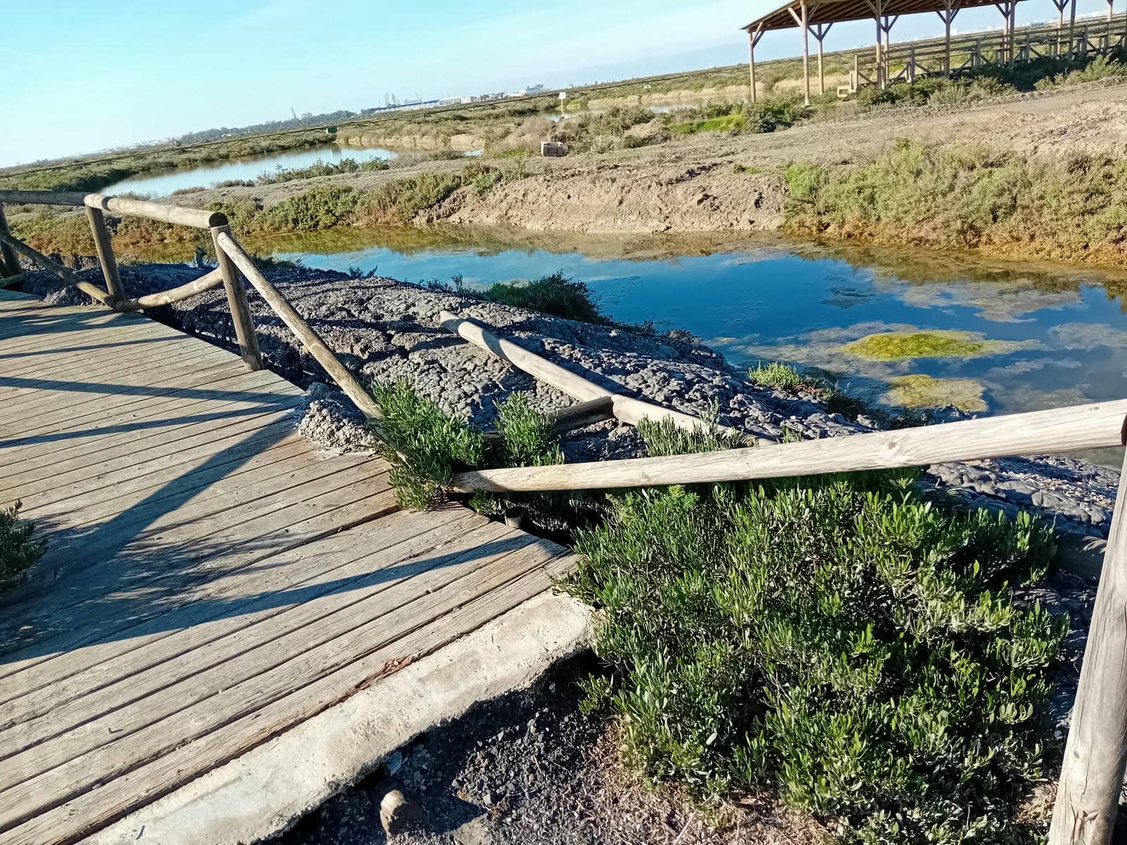 Estado del sendero de las Salinas de la Esperanza de Puerto Real