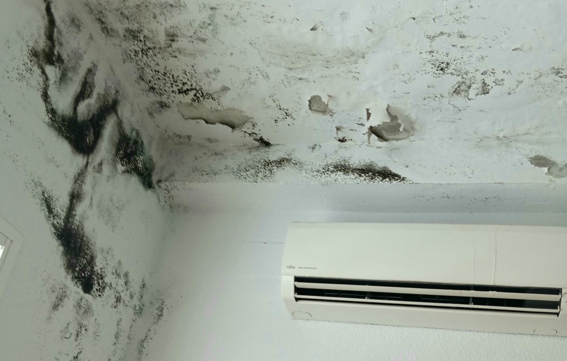 Humedades en el Ceper La Arboleda Perdida.