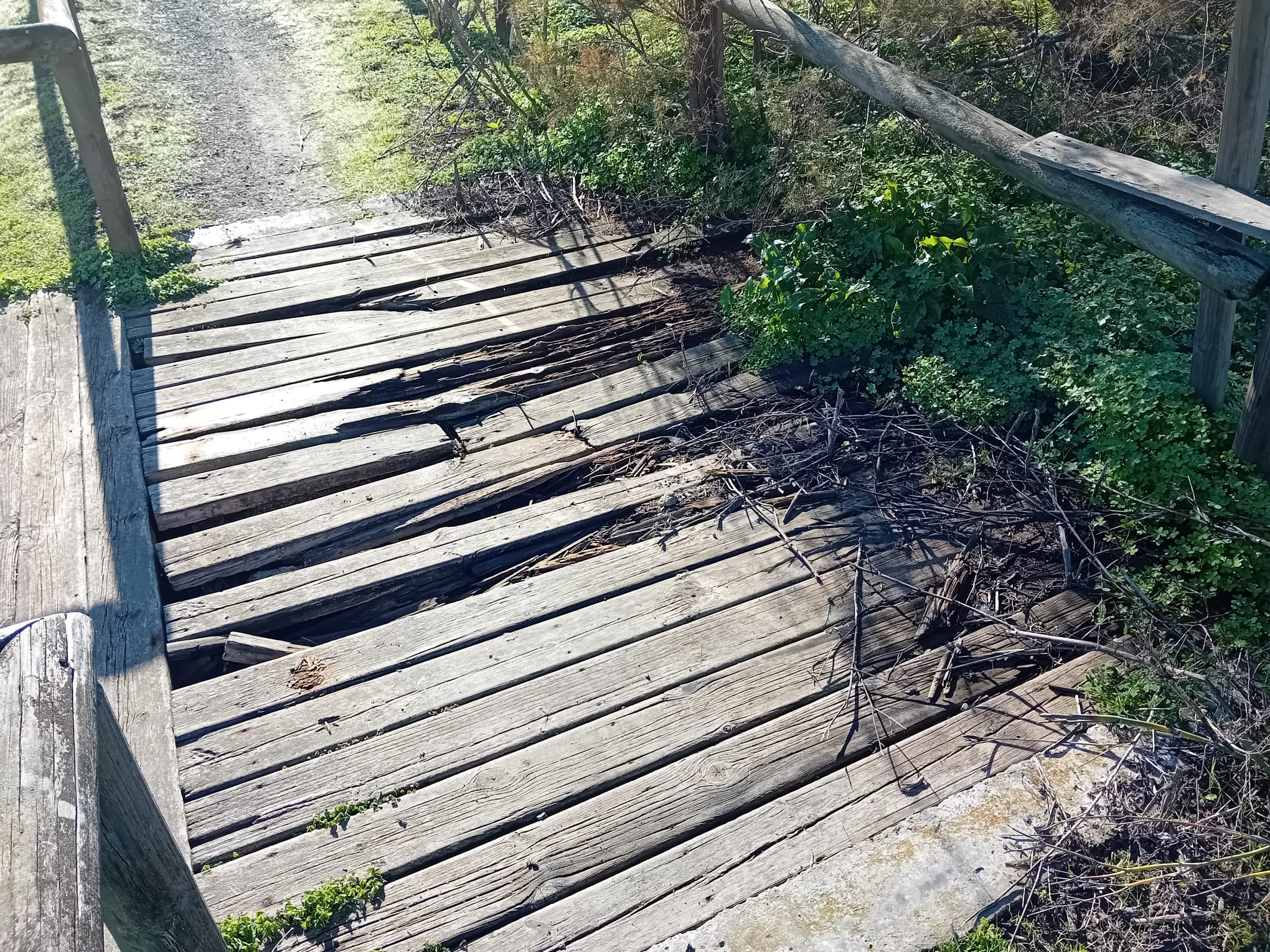 Estado lamentable del sendero de las Salinas de la Esperanza, en Puerto Real.