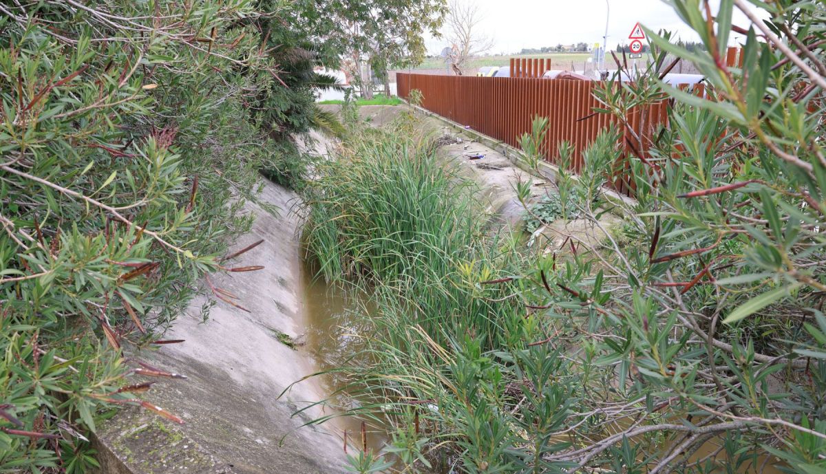 Aguas fecales estella del marqués  06