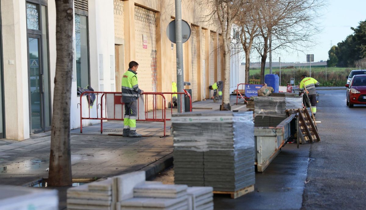 Servicio de calas ayuntamiento Jerez  1