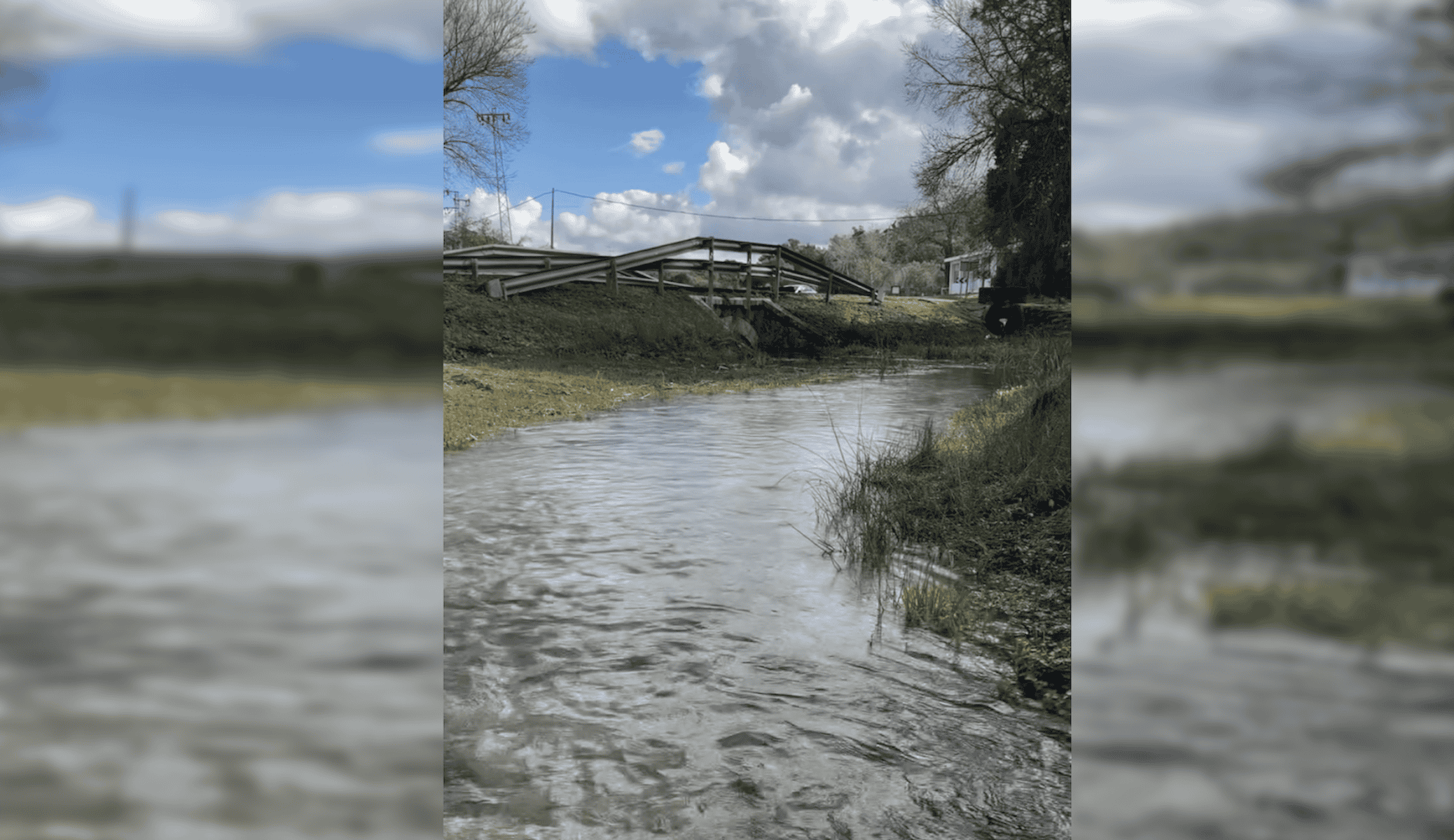 El manantial de Tempul, rebosante de vida.