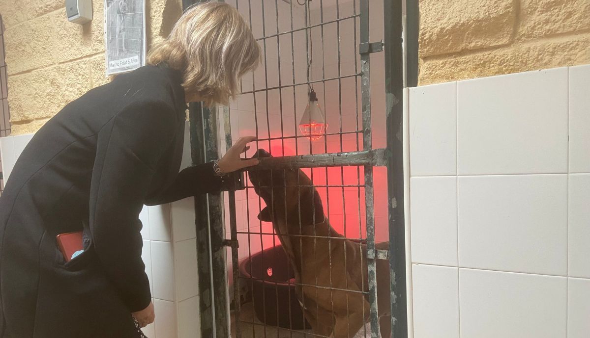 Estos son las medidas del Centro Municipal de Protección Animal en Jerez.
