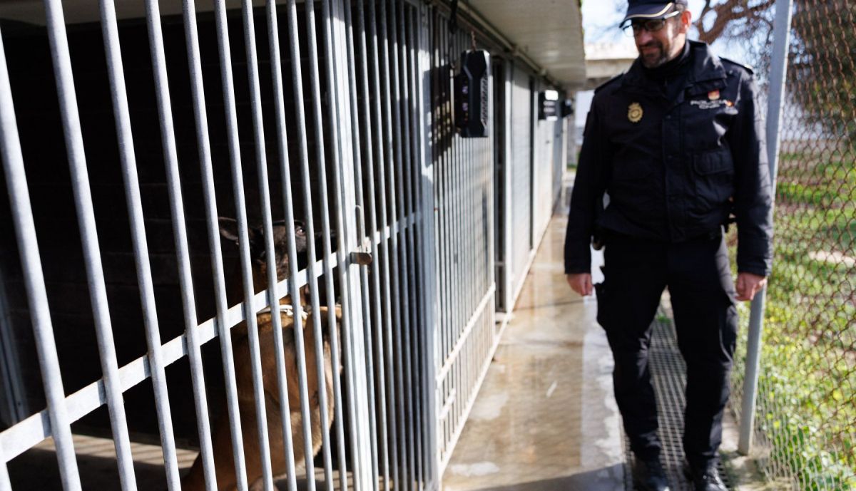 El guía canino muestra las instalaciones de Torregorda donde viven los perros.