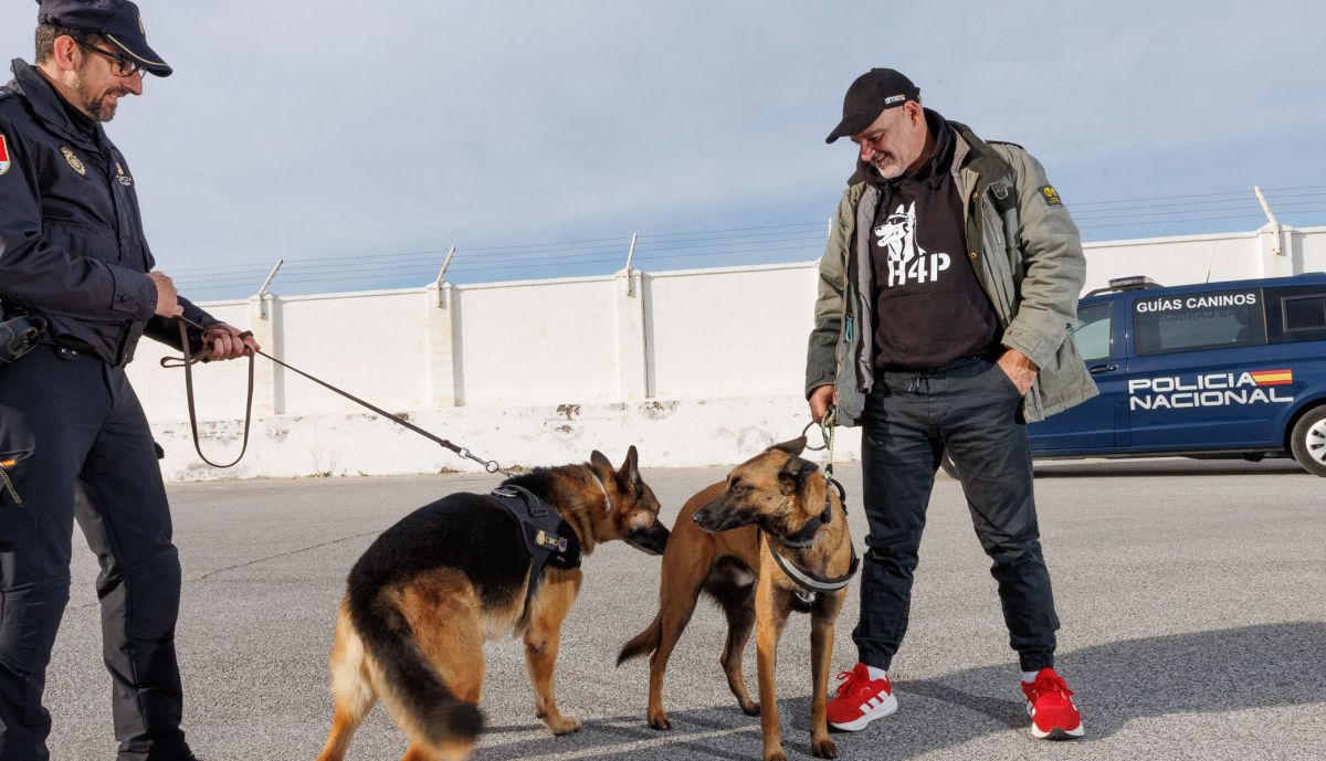 Ángel Bravo es el dueño de West y el fundador de la asociación Héroes de 4 patas.