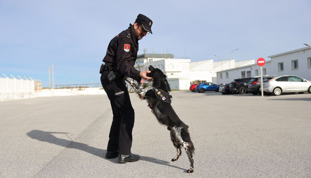 Perros policia y asociacion heroes de cuatro patas 04