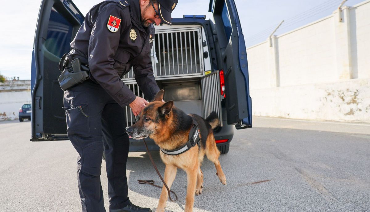 Perros policia y asociacion heroes de cuatro patas 06
