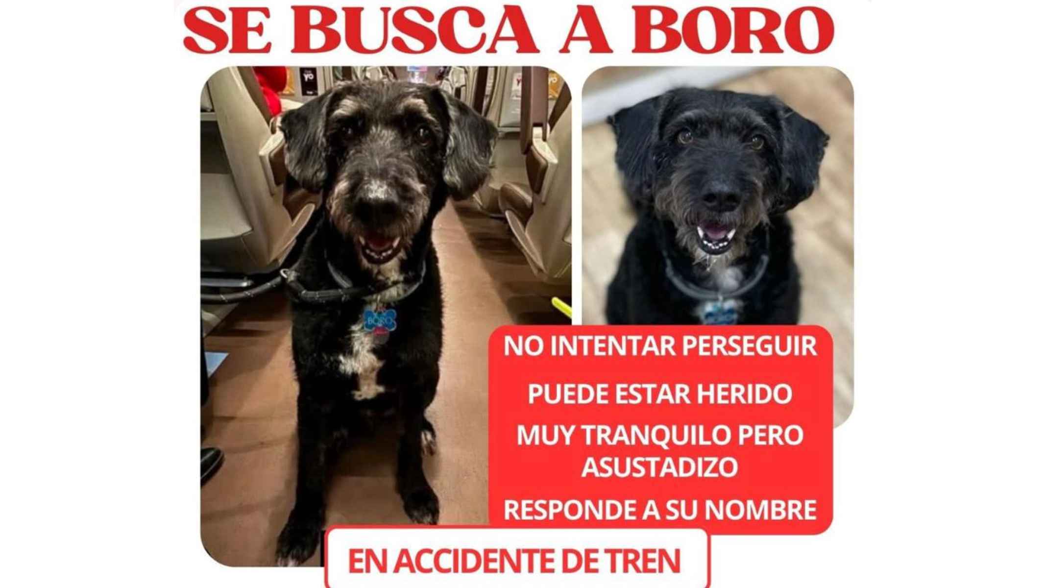 Cartel con las imágenes de Boro.