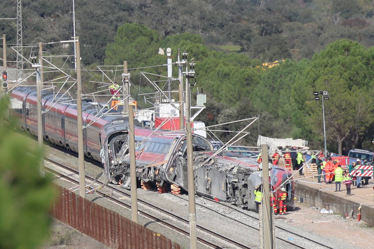 El tren Iryo accidentado.