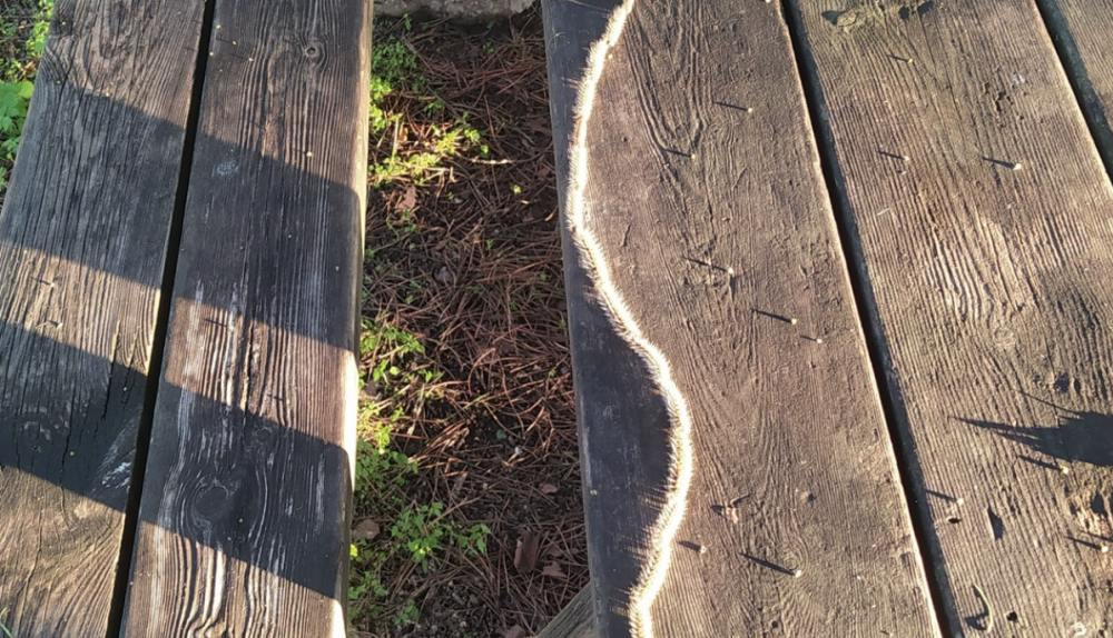 Fila de orugas en procesión en El Puerto.