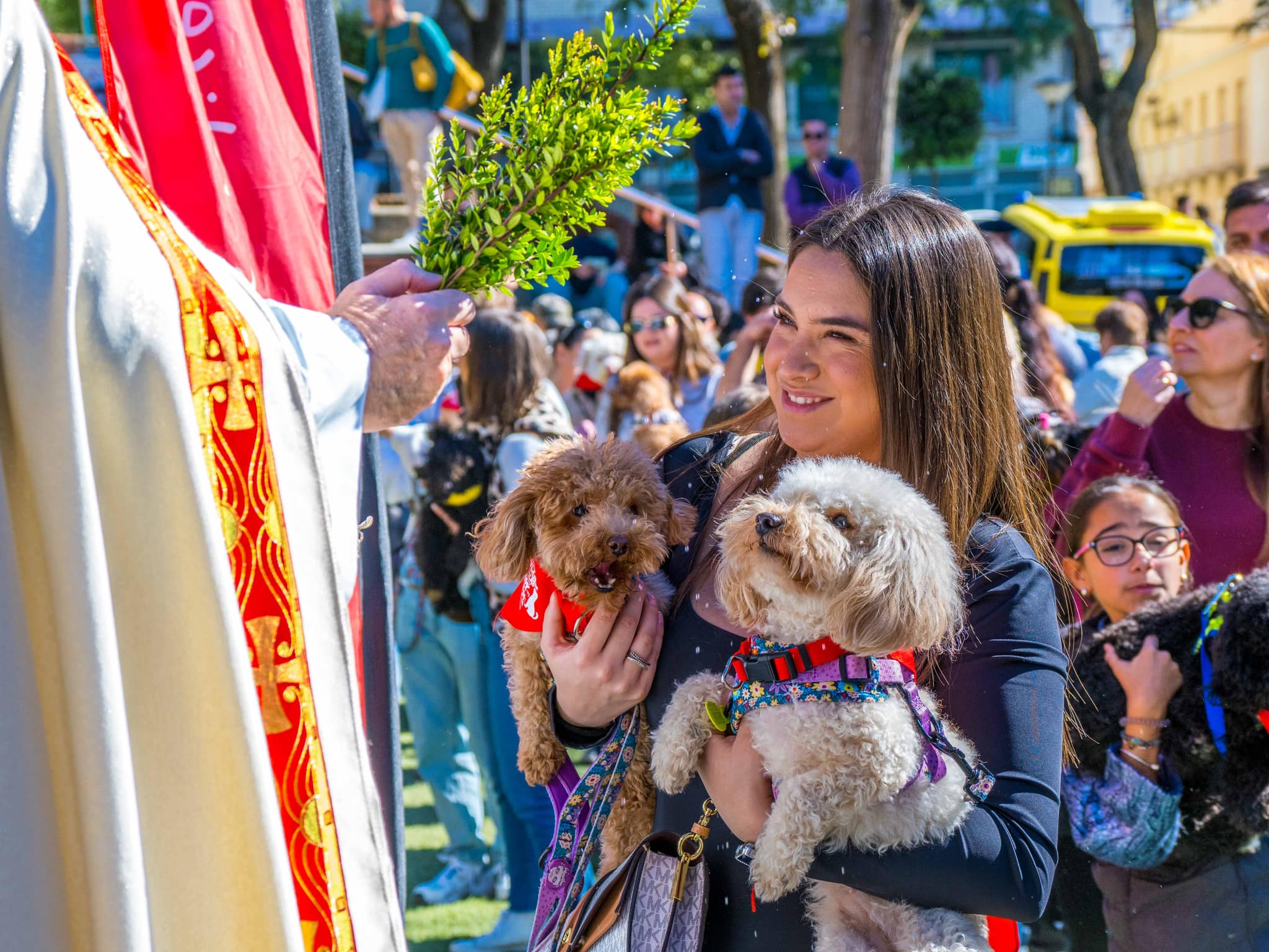 Última edición de San Antón en San Fernando.