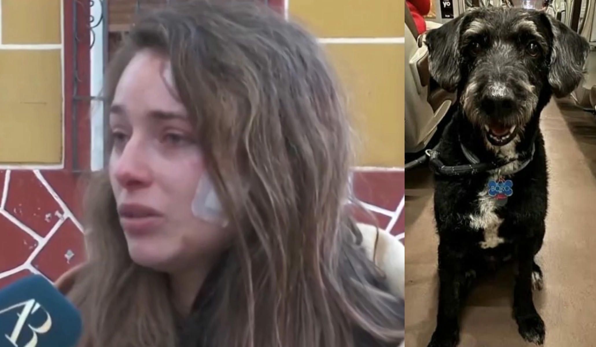 Ana, dueña de Boro.