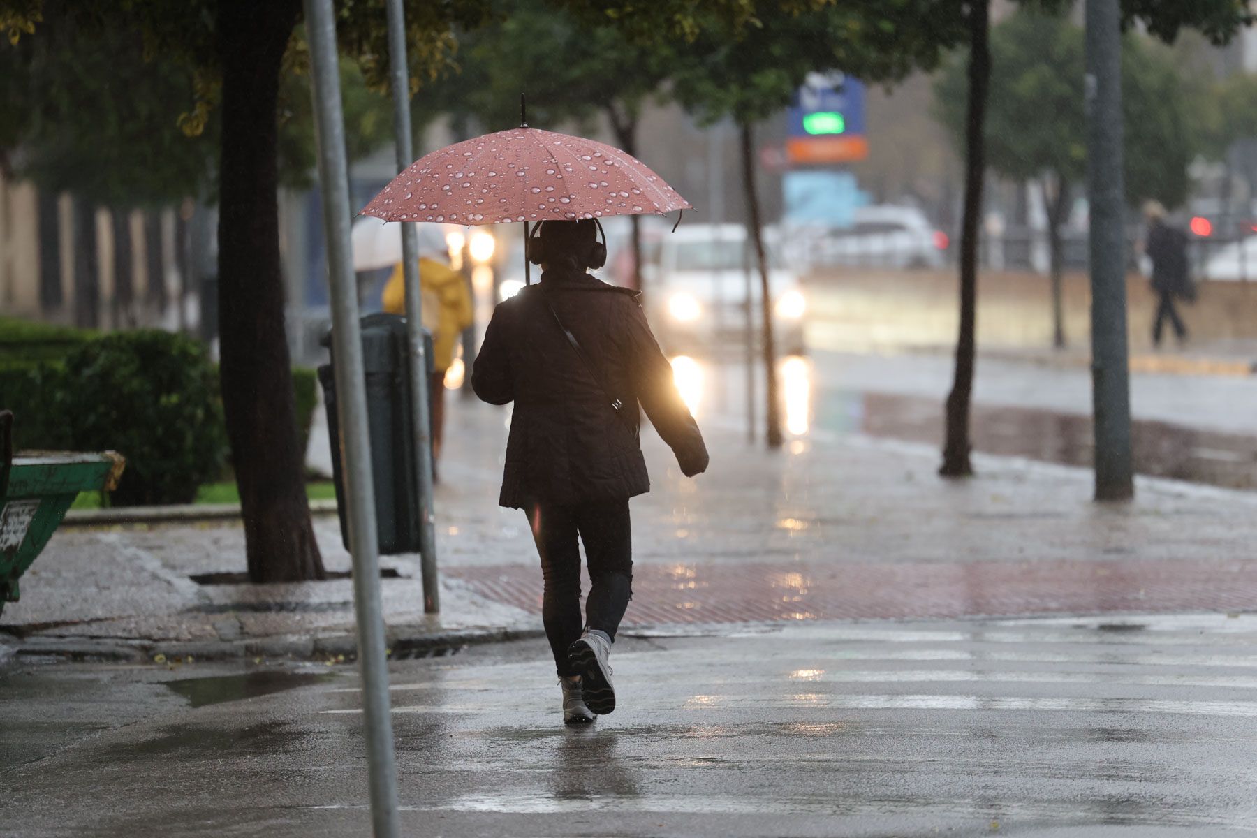 Una imagen del temporal en Jerez. Una imagen del temporal en Jerez.