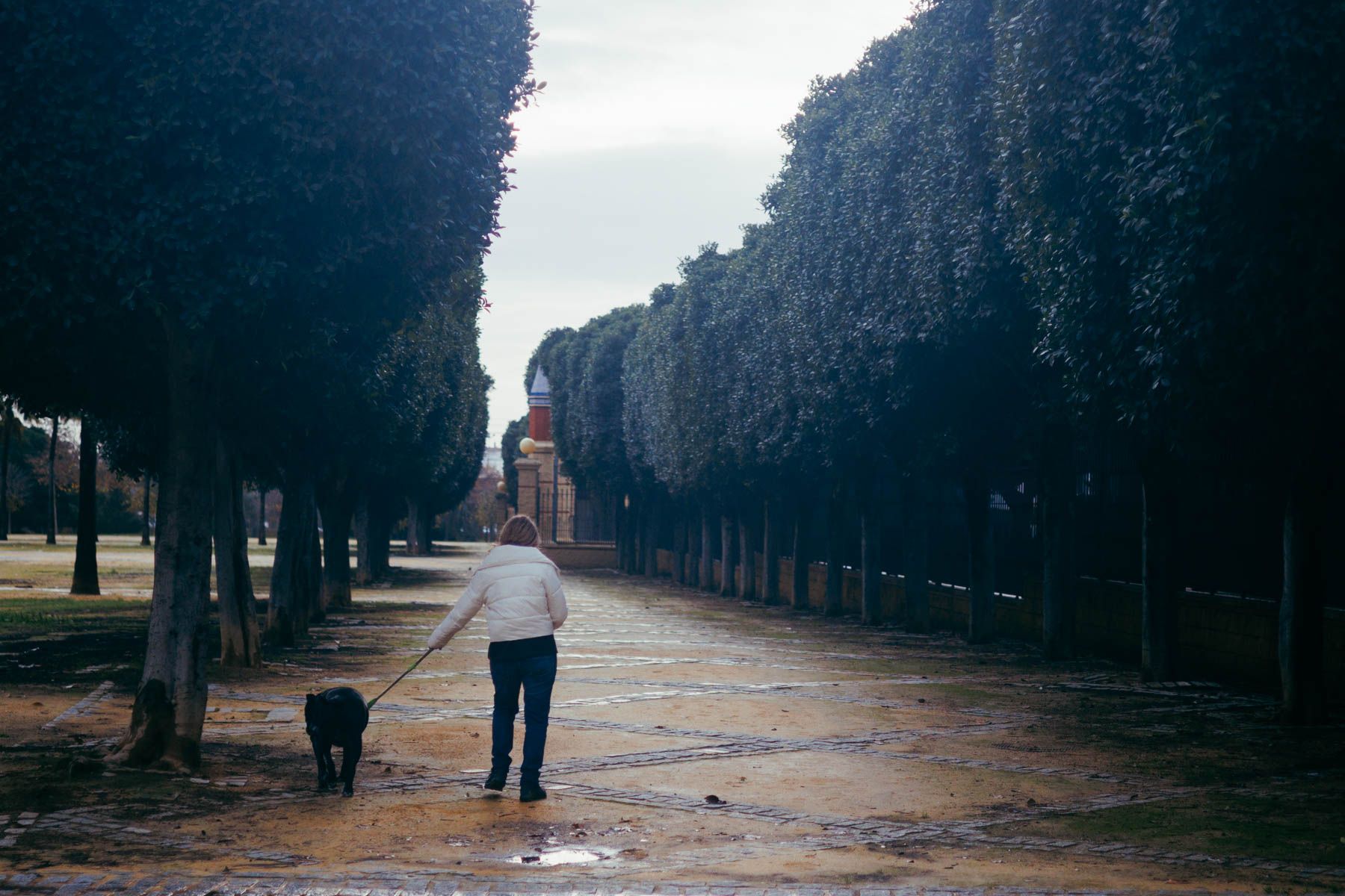 PARQUE GONZALEZ HONTORIA SAN ANTON 1