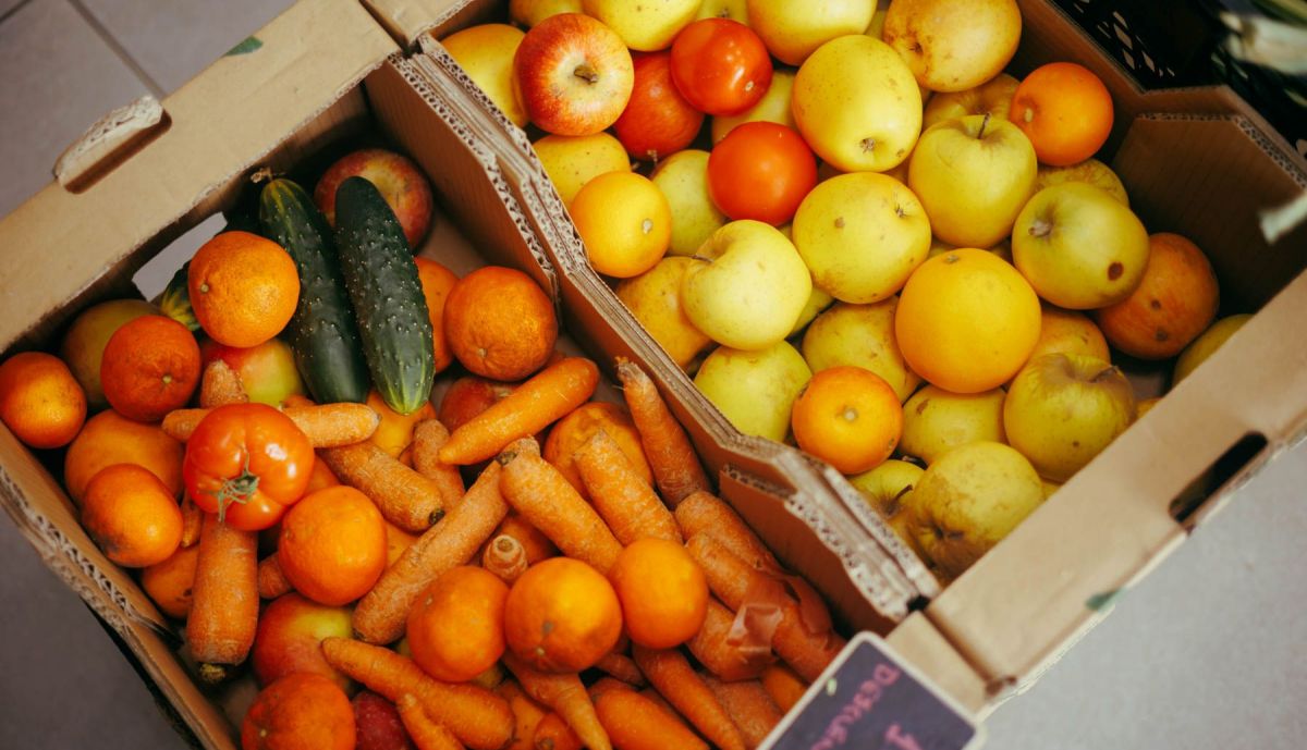 LA ALTABACA TIENDA ECOLOGICA 05