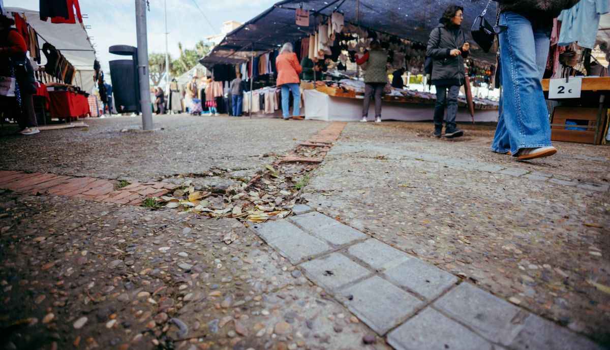 MERCADILLO JUEVES LA PLATA  7
