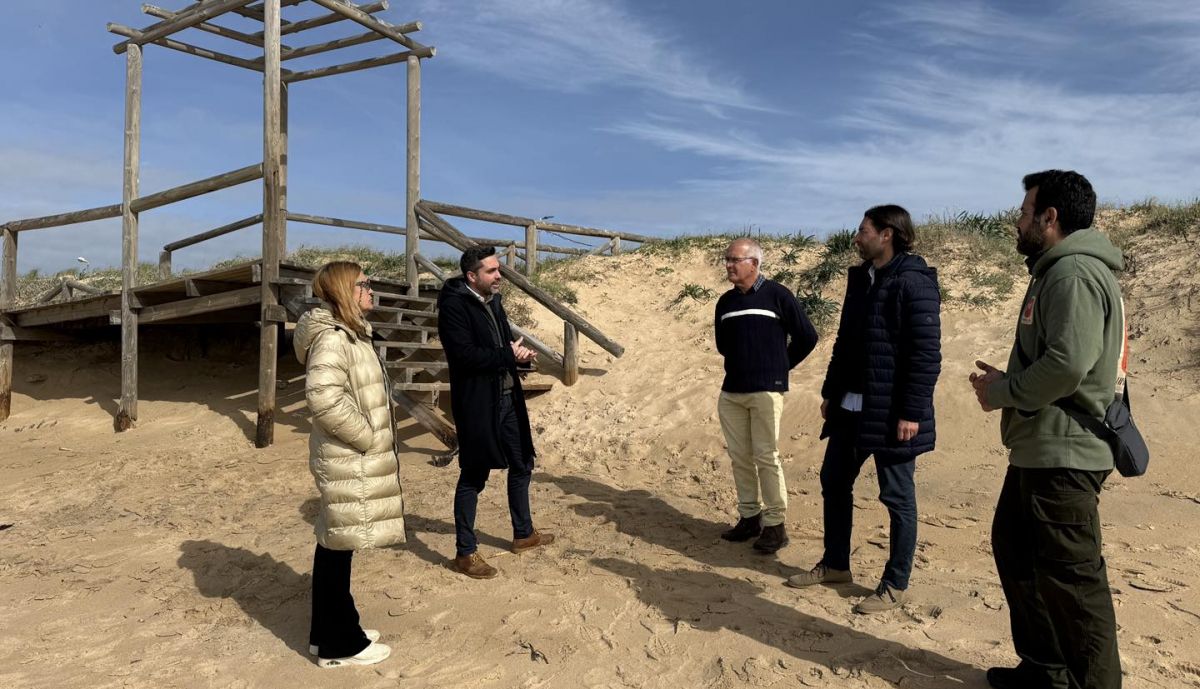 vejer palmar pasarelas