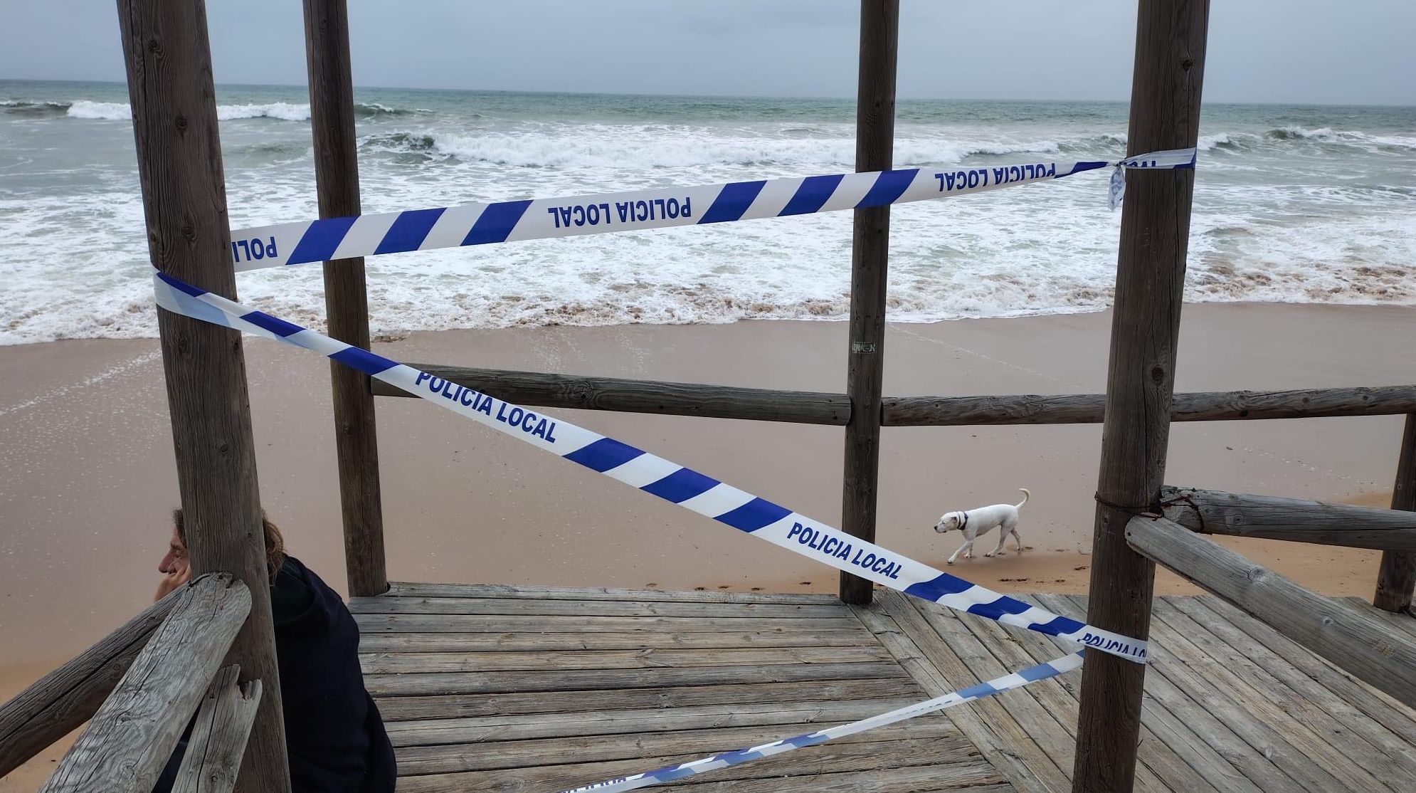 Estado de las pasarelas de El Palmar, este jueves tras los temporales. Estado de las pasarelas de El Palmar, este jueves tras los temporales.