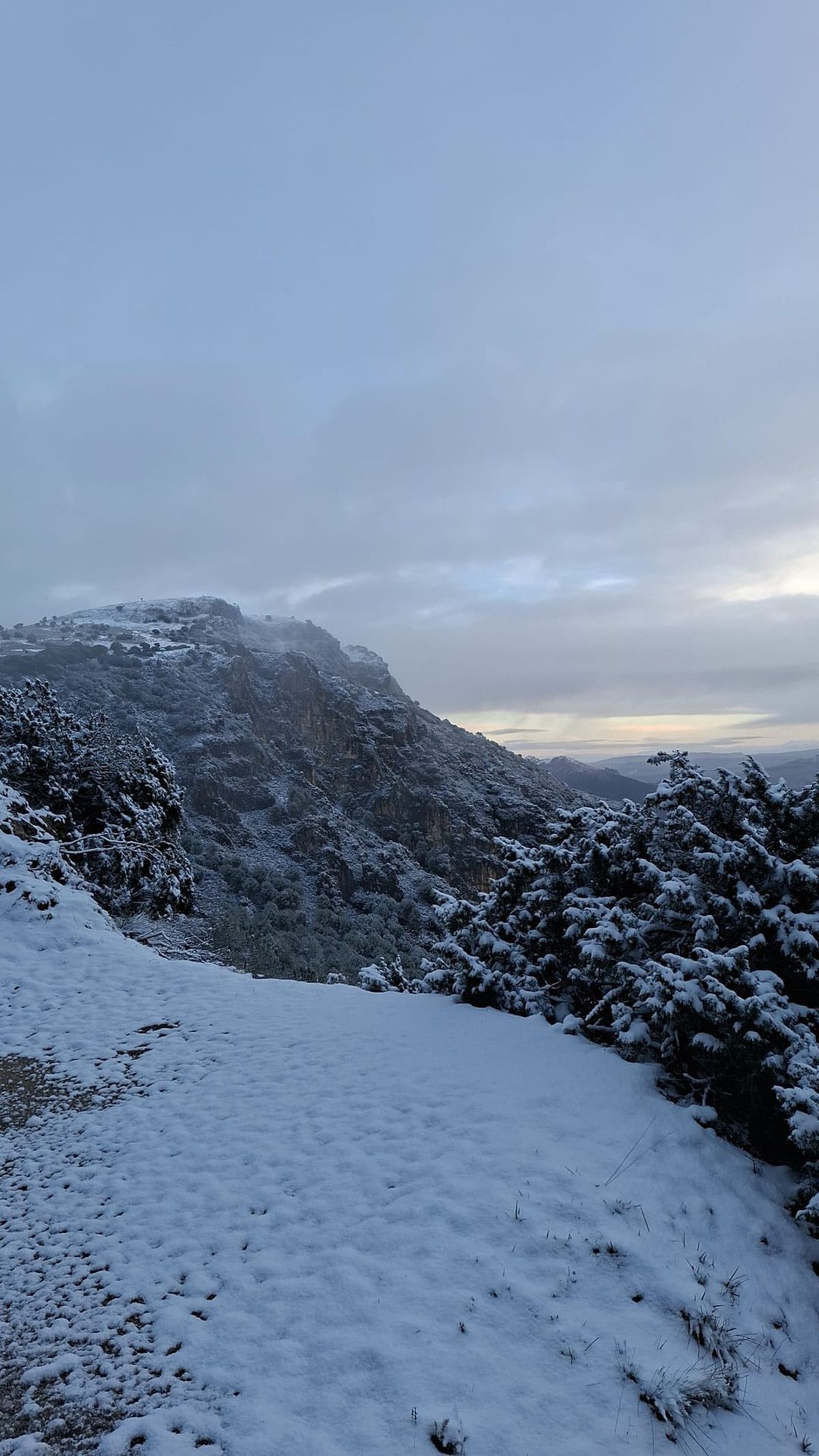 nieve Grazalema  07