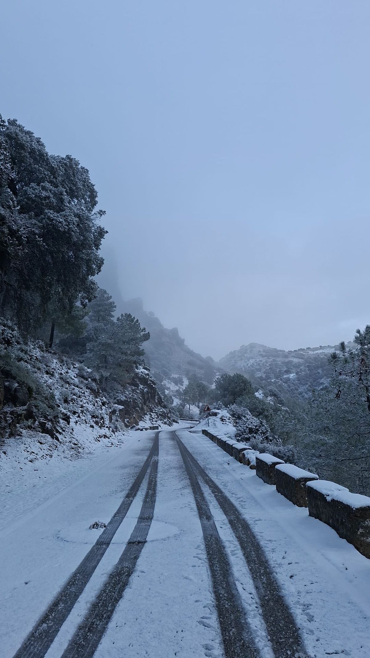 Nieve en Grazalema en enero pasado.