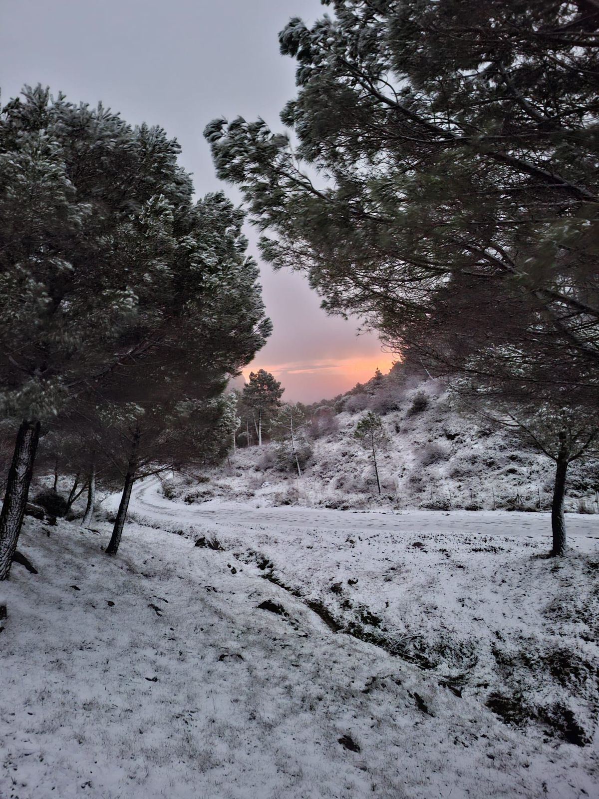 nieve Grazalema  10