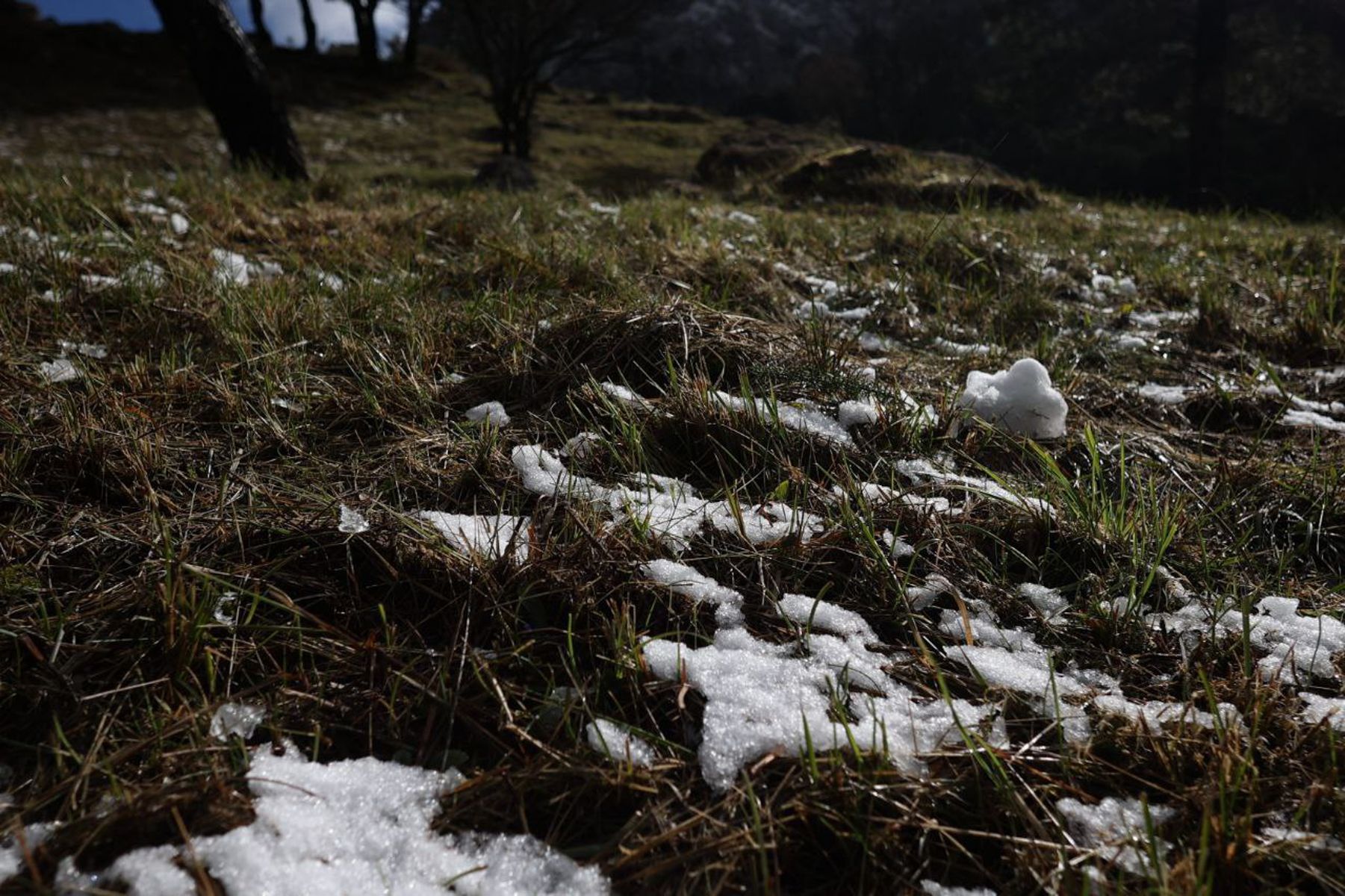 nieve Sierra de Cádiz 03