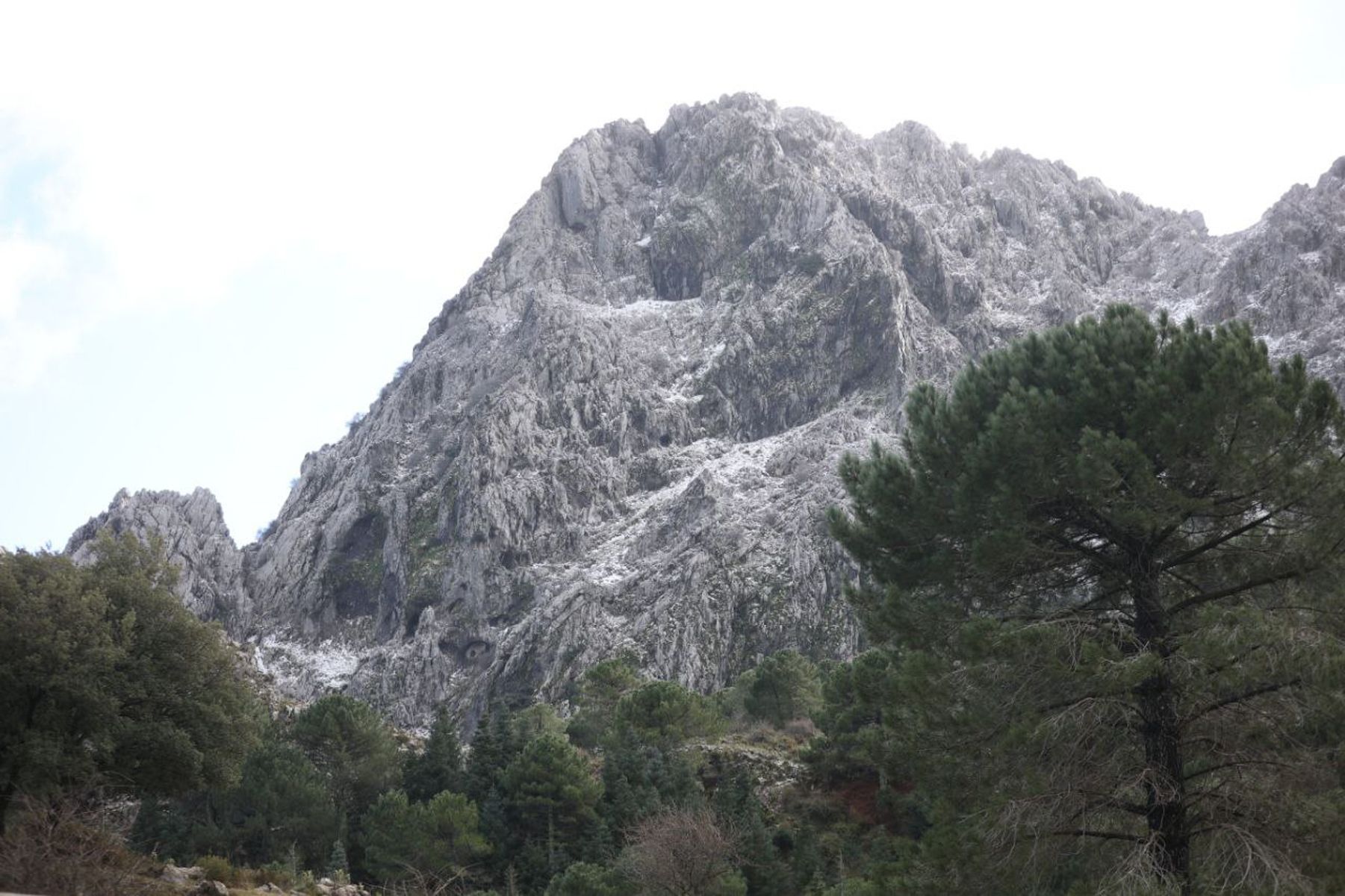 nieve Sierra de Cádiz 06