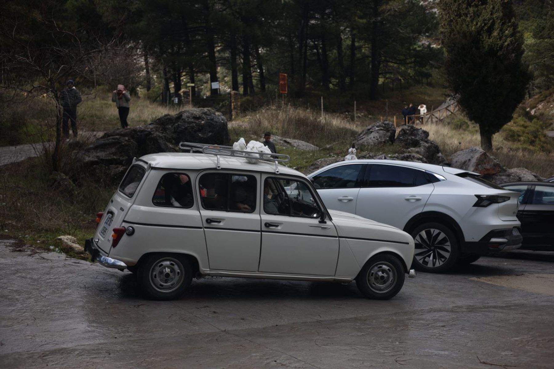 nieve Sierra de Cádiz 01