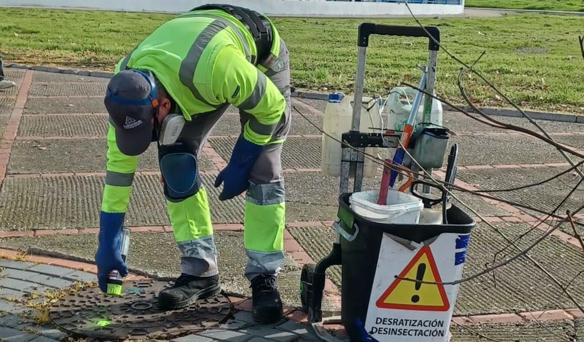 Labor de desratización en Jerez